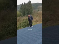 পাথরের চিপস দিয়ে আবৃত ধাতব টাইলস